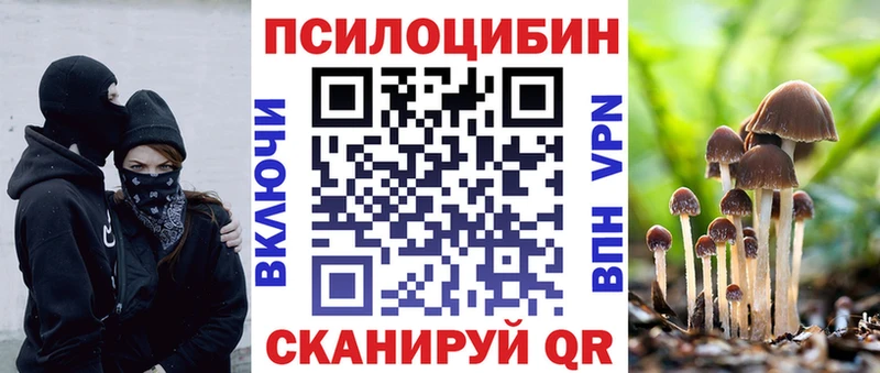 Галлюциногенные грибы Psilocybine cubensis  Купить закладки  Заволжье 